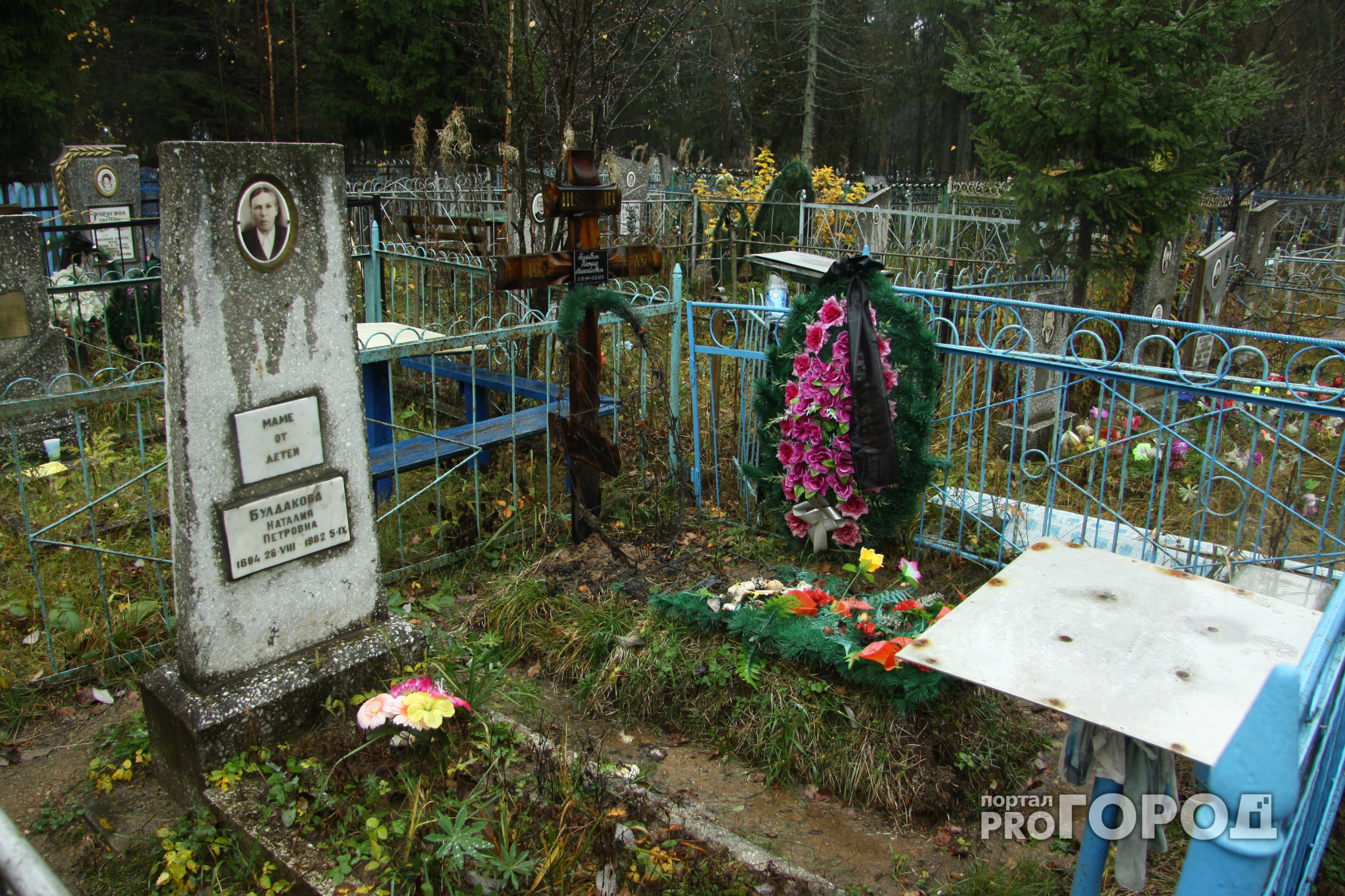 На кладбище в Каркино с могил воруют цветы