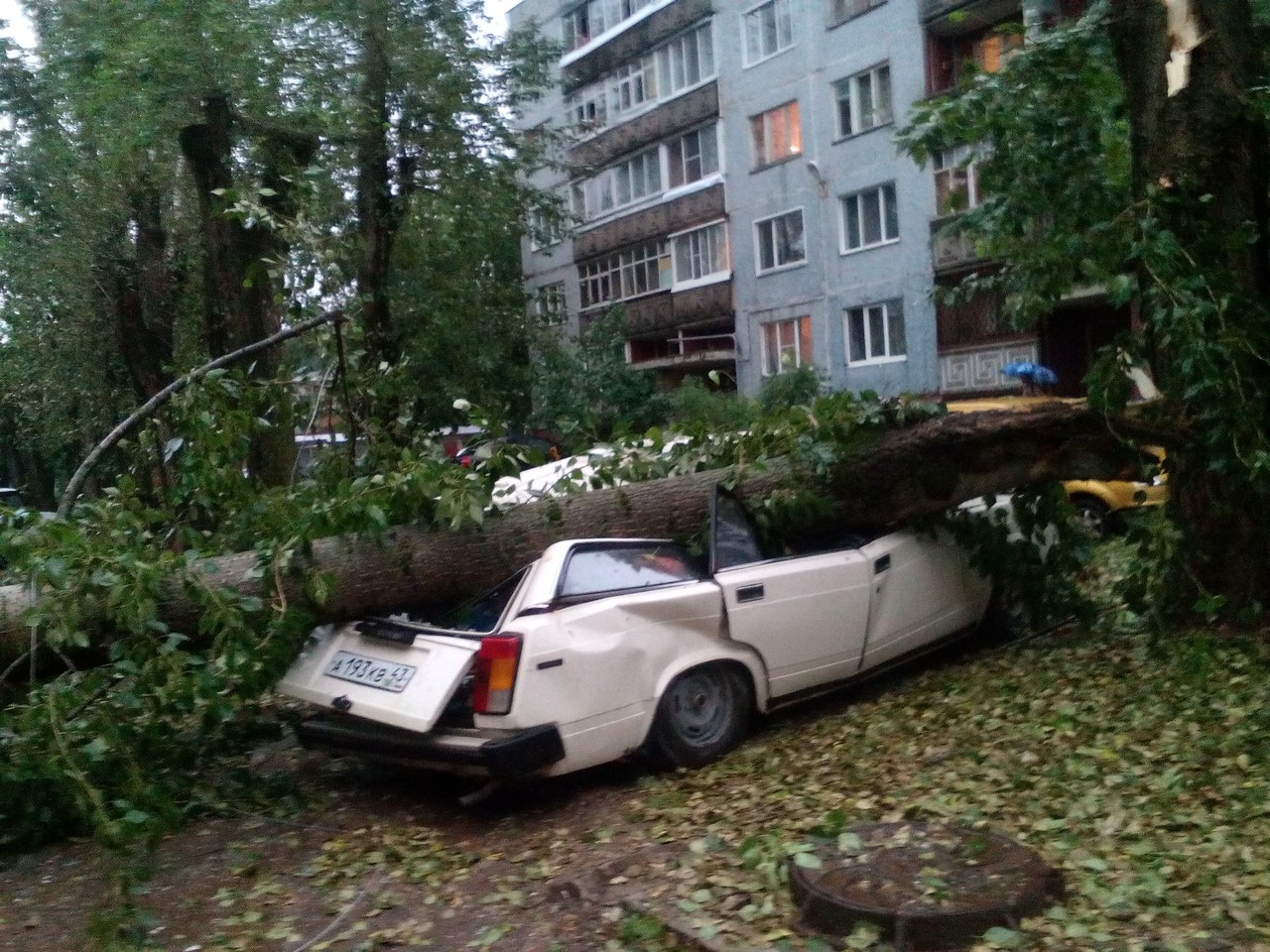 Вырванные с корнем деревья, оборванные провода и искореженные авто: на Чепецк обрушился ураган