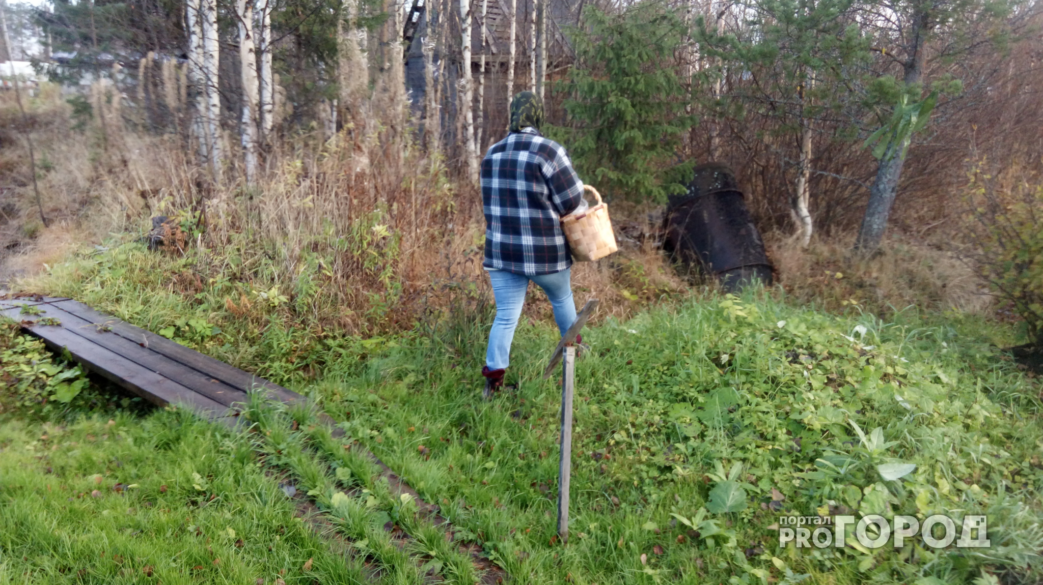 В Кировской области пропали три пенсионера