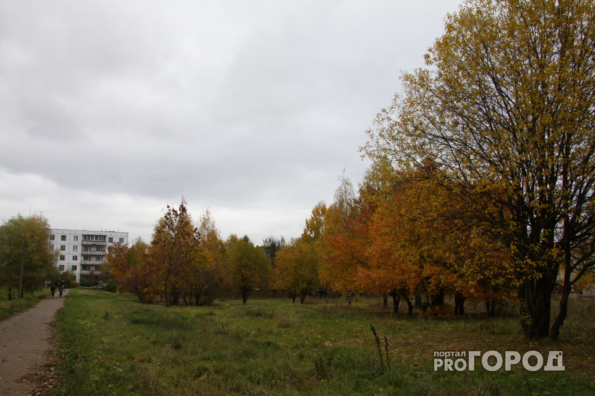 МЧС опубликовало прогноз погоды в Кировской области на 1 сентября