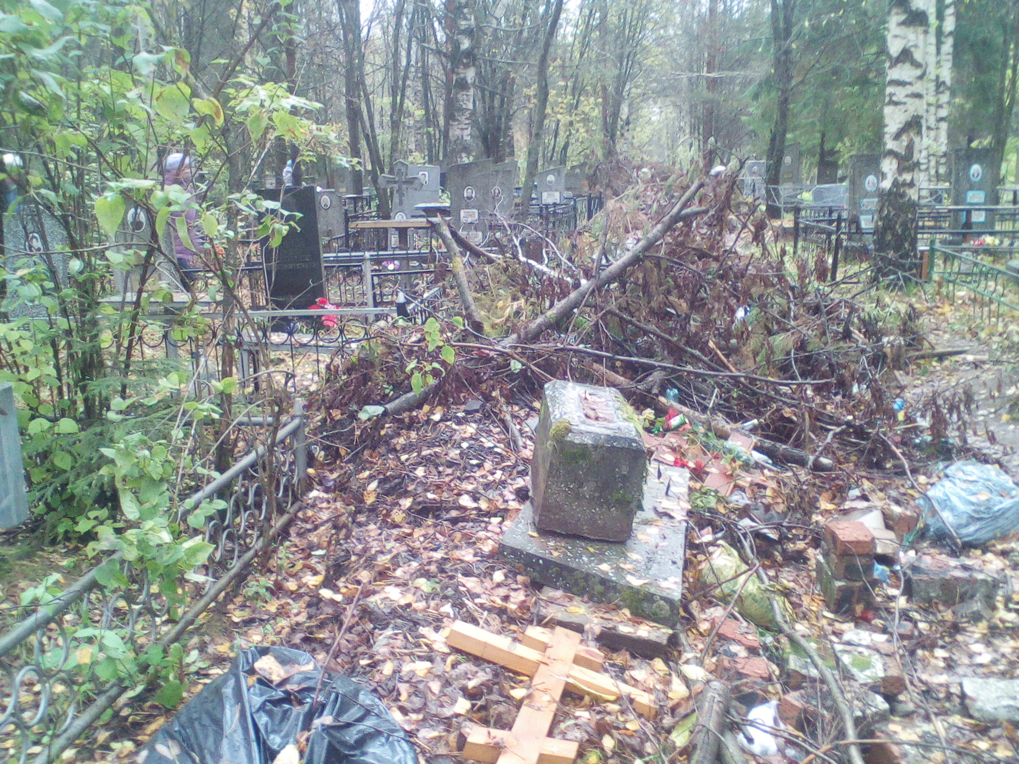 Кладбище в Злобино не очистят в этом году от мусора