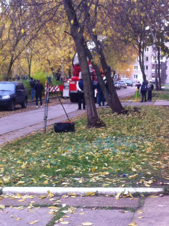 В Чепецке под аплодисменты горожан спасатели сняли кошку с дерева