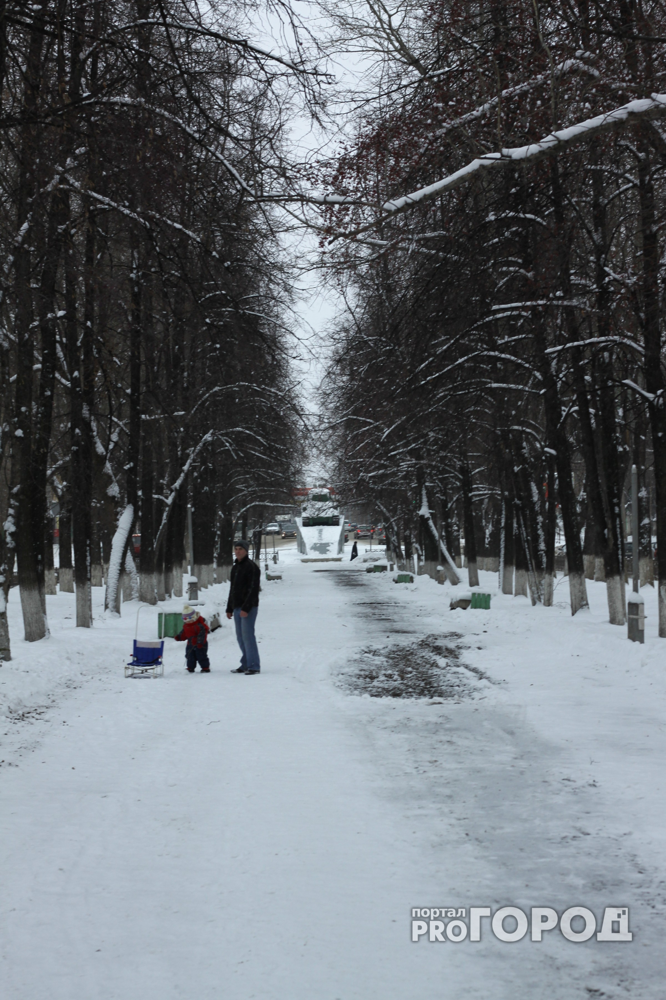 Долгосрочный прогноз: какими будут ноябрь и зима в Кировской области?