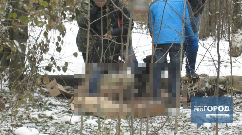 В Кирово-Чепецком районе нашли труп бешеной лисицы