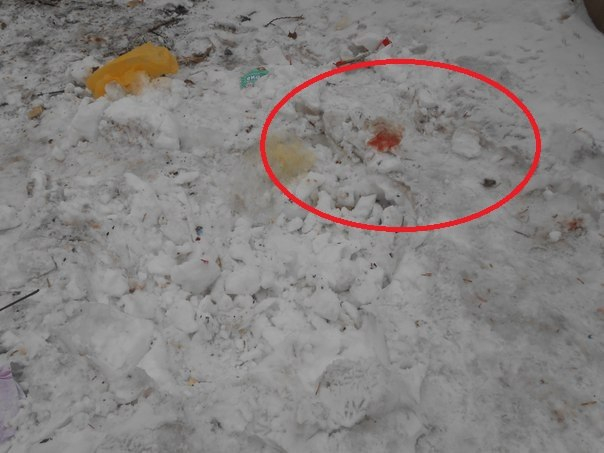 В Кирове в мусорном баке бродяга нашел тело младенца