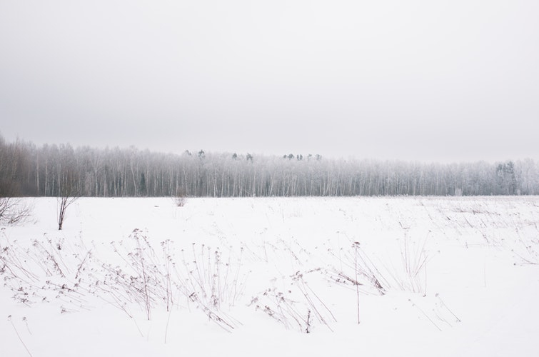 На предстоящей неделе в Кировской области ожидается похолодание