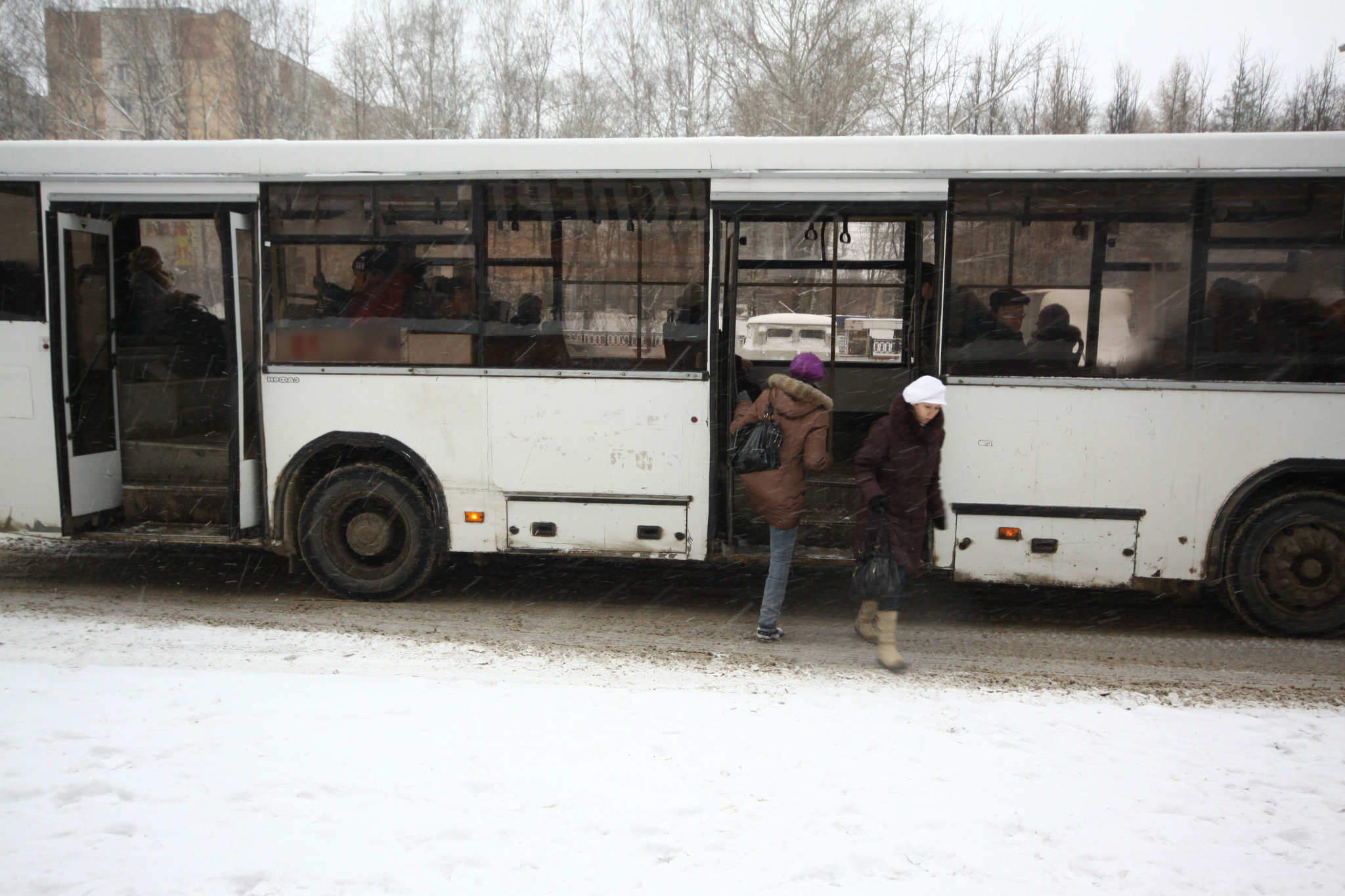 Ребенка бесплатно провезли на рейсовом автобусе в Чепецке