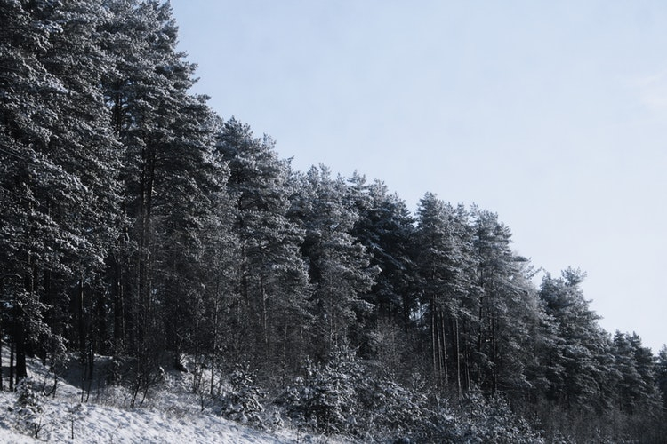 В Кировской области ожидается резкое похолодание