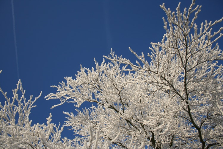 МЧС сообщает о 30-градусных морозах в Кировской области