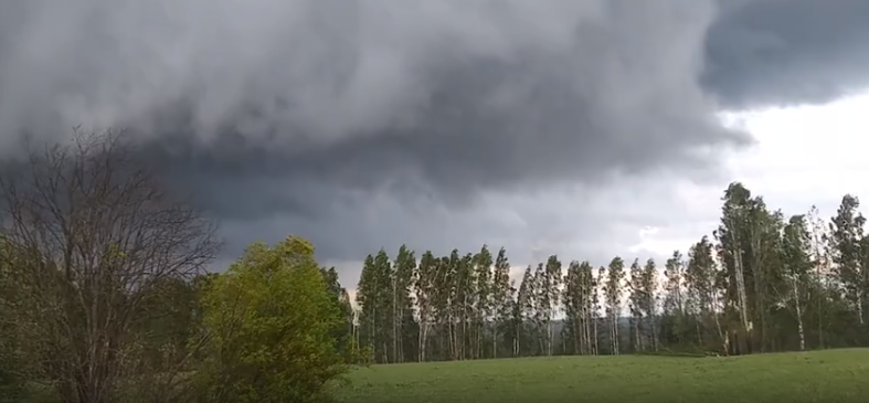В Кировской области пронесся смерч: очевидец снял на видео стихию