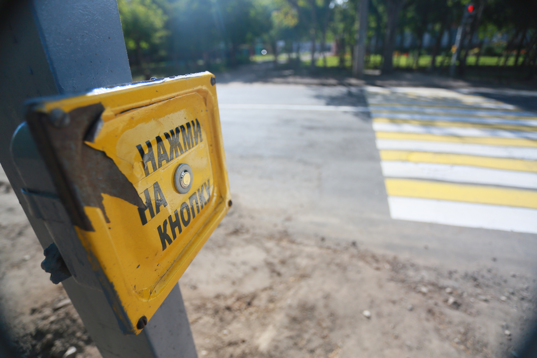 В Чепецке появится три новых пешеходных перехода