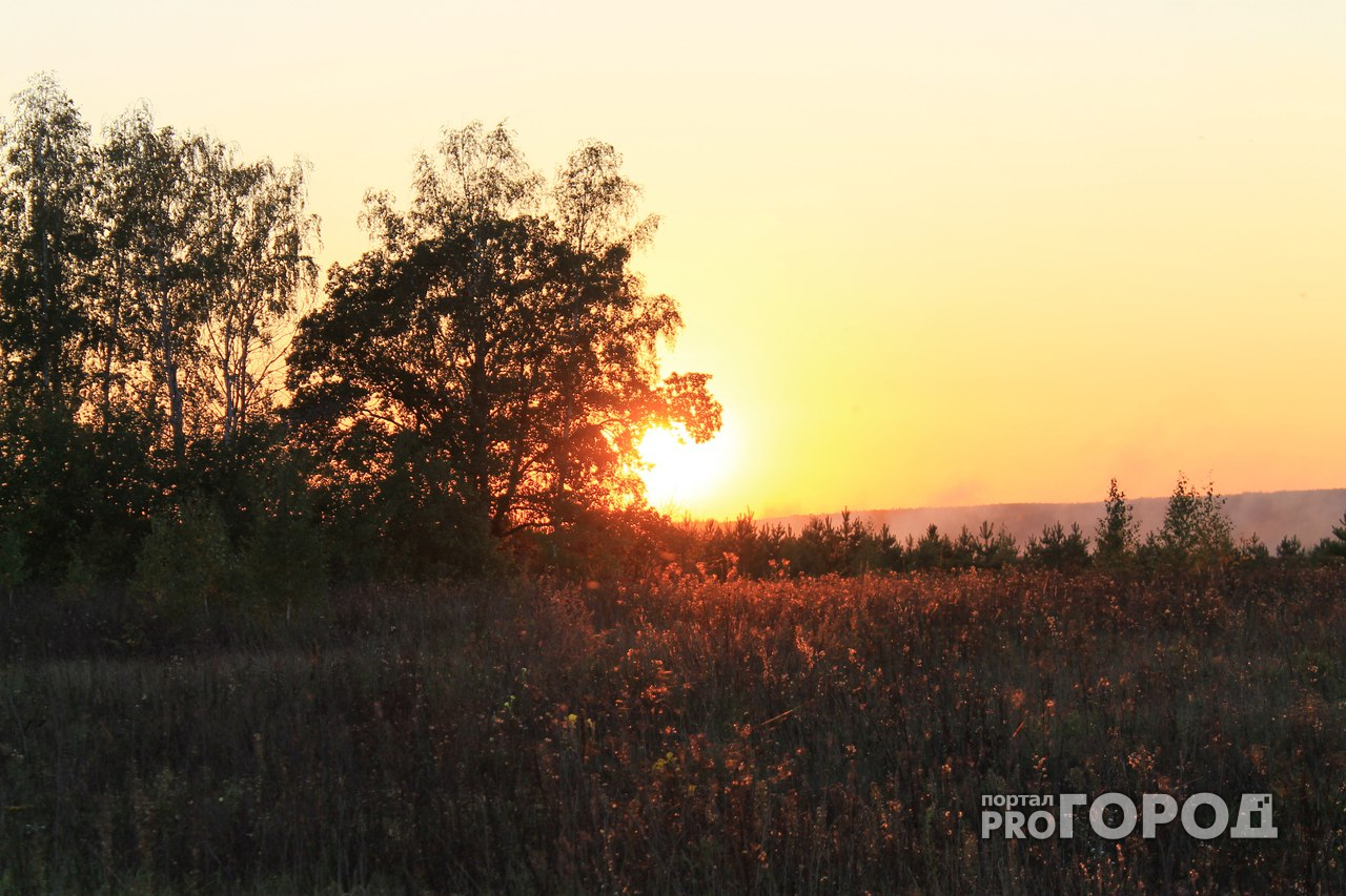Конец июня в Кировской области будет теплым