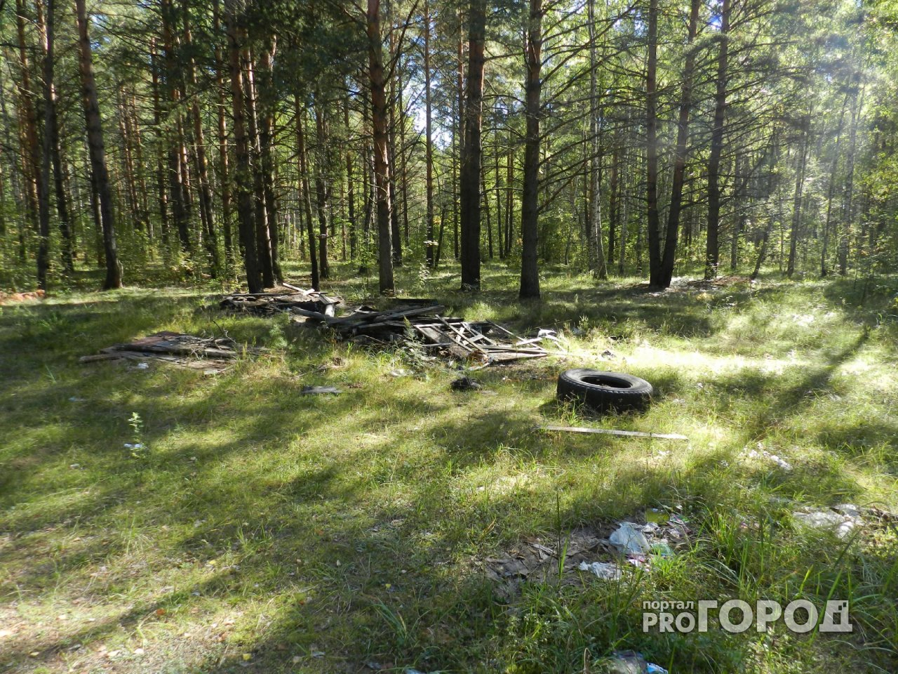 В Кирове молодые люди похитили у клуба студента и увезли в лес