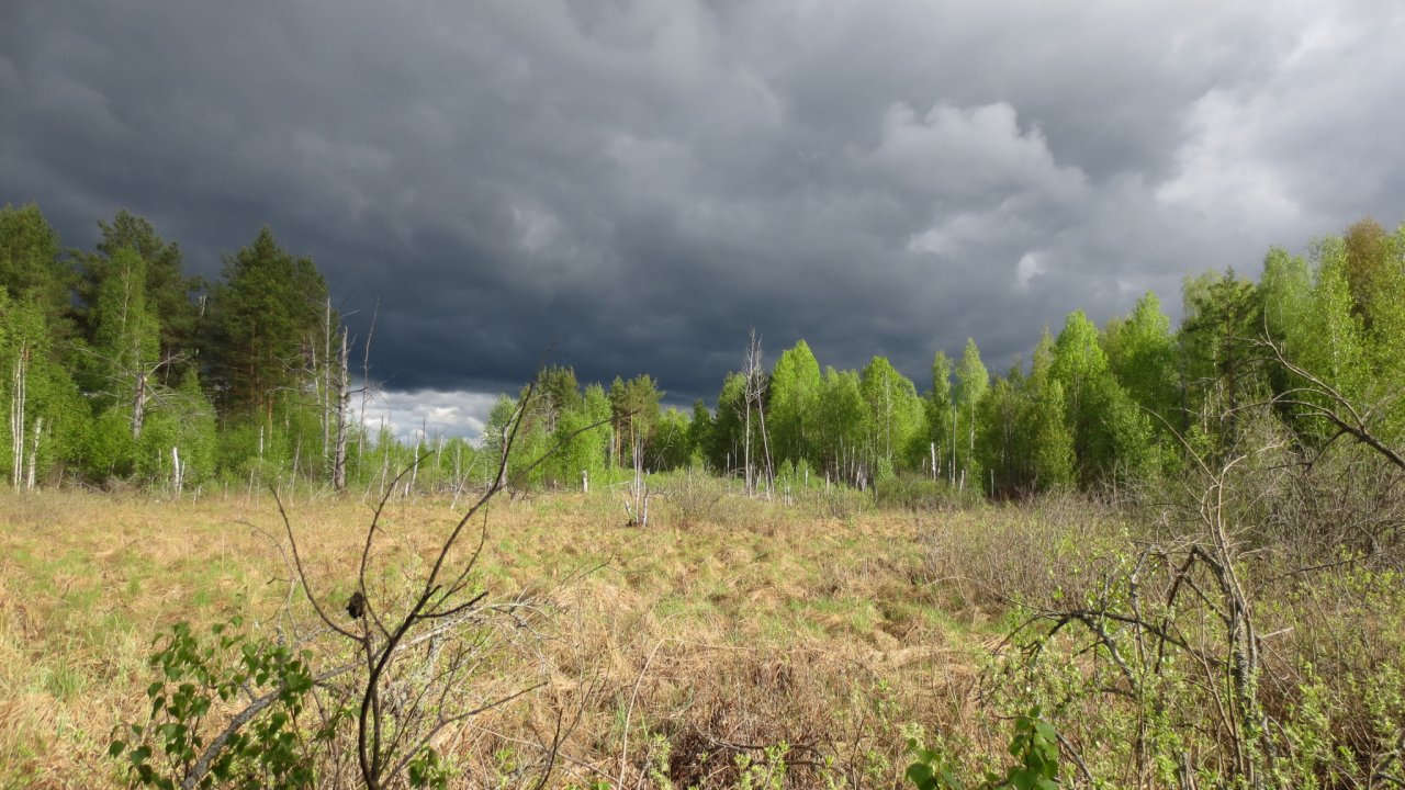 МЧС объявило метеопредупреждение в Кировской области на пятницу