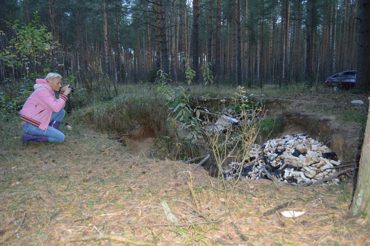 В Кировской области начали активную борьбу со свалками