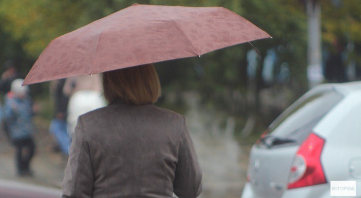 Погода в Чепецке: выходные будут дождливыми