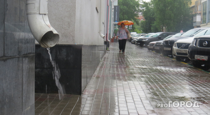 Погода в Кирово-Чепецке: предстоящая неделя будет пасмурной и ветреной