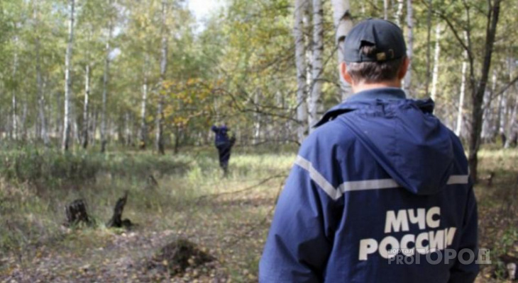 После суток в лесу в Кировской области нашли пропавшего грибника