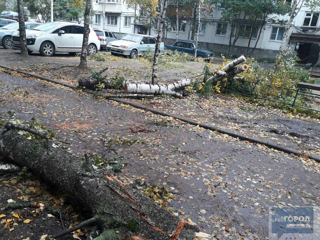 В Кировской области объявили штормовое метеопредупреждение