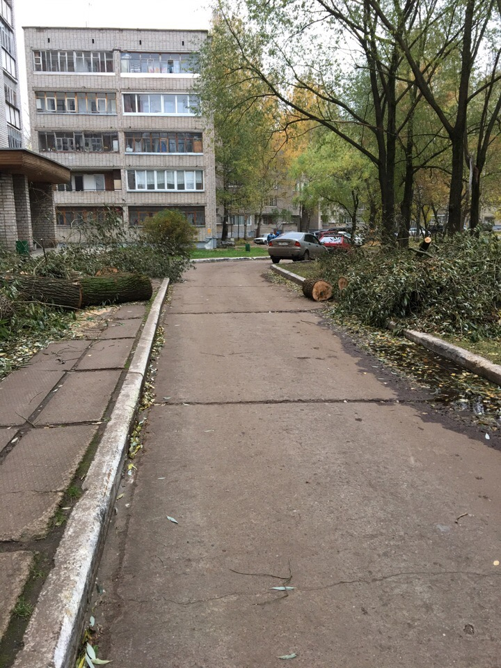 В Кирово-Чепецке двор завалили старыми деревьями