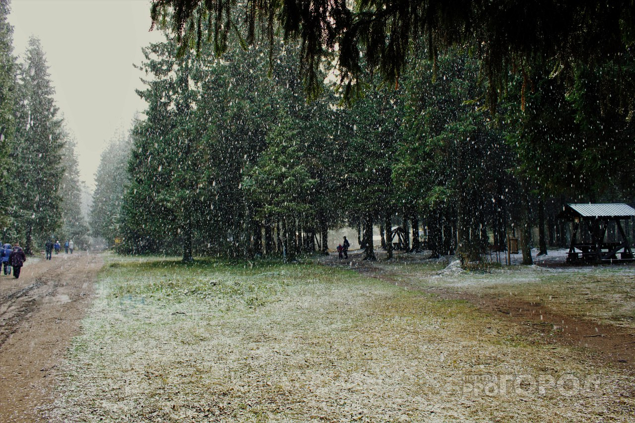Погода в Чепецке: в начале недели - заморозки, в конце - потепление