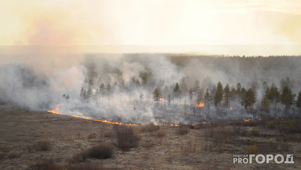 На защиту Каринторфа от пожаров выделят 160 тысяч рублей