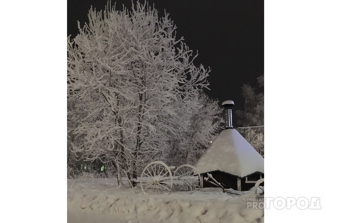 «Город превратился в белую сказку»: чепчане восхищаются деревьями, покрытыми изморозью