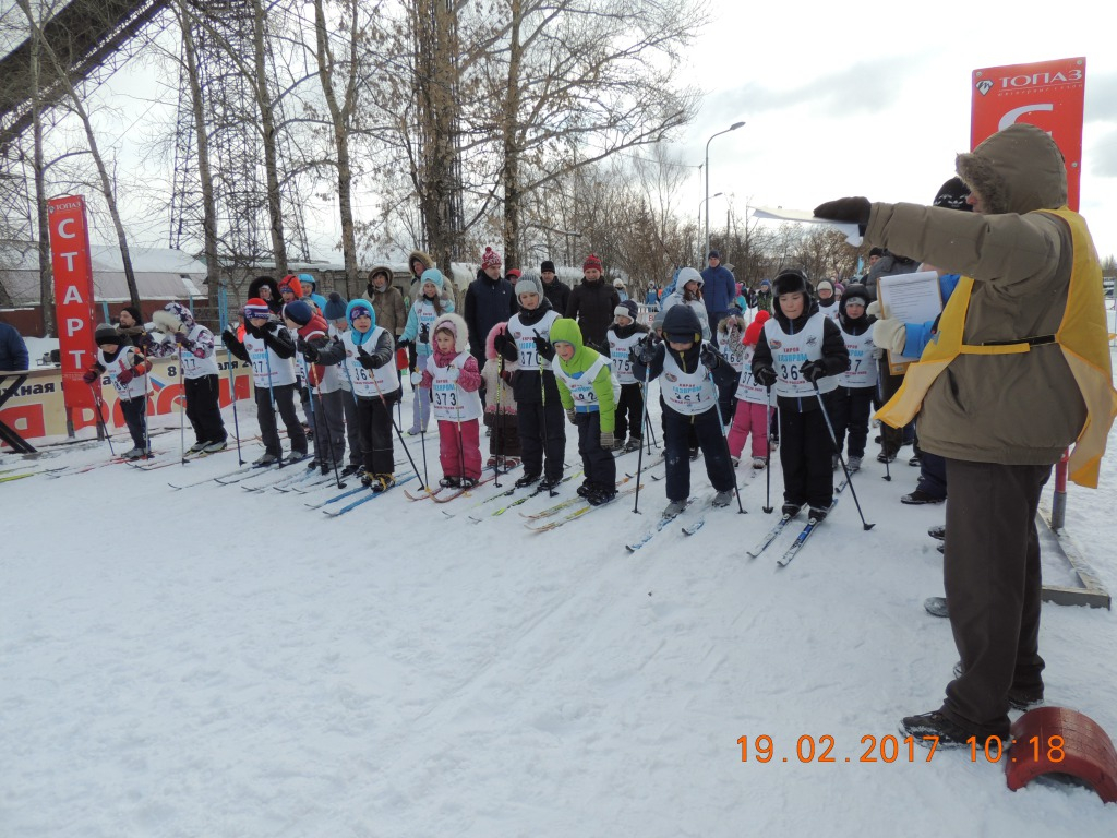 Стало известно, должны ли в чепецких школах предоставлять ученикам лыжи