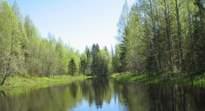 К 2022 году в Кировской области появится национальный парк