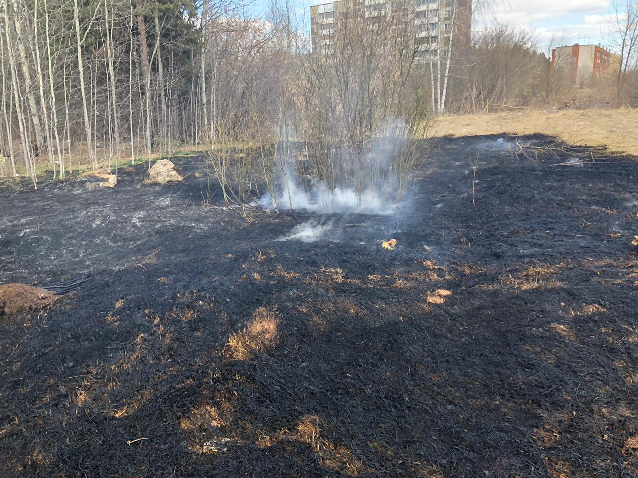 За неделю в Кирово-Чепецке зафиксировано 7 возгораний травы и мусора