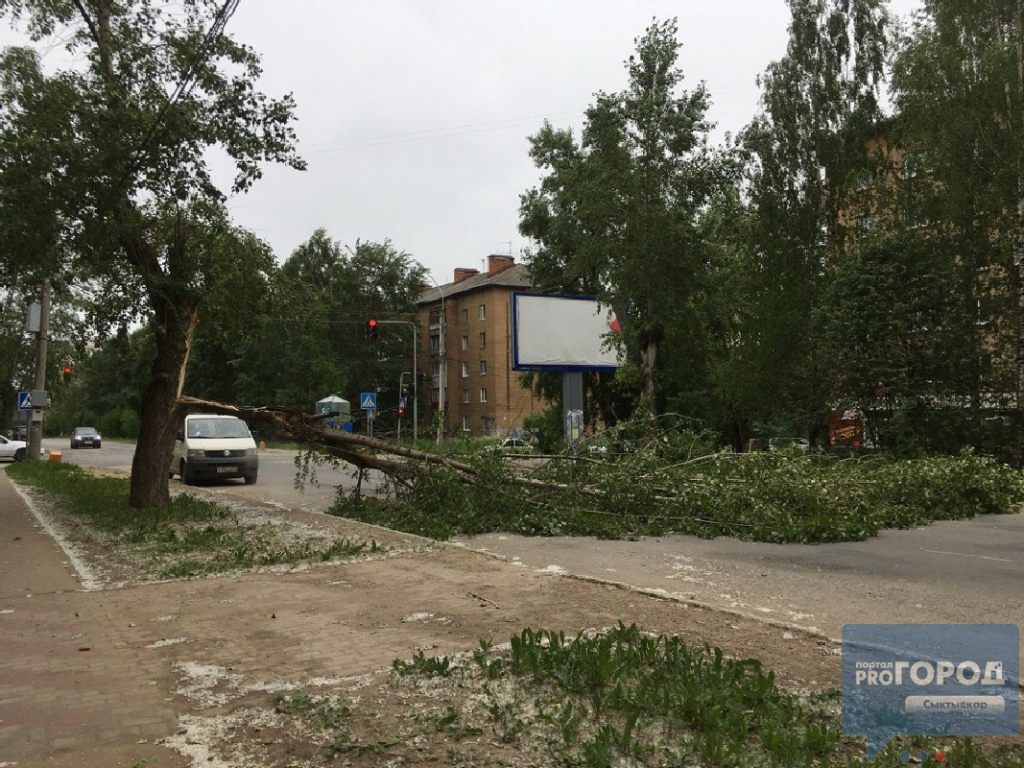 МЧС по Кировской области объявило метеопредупреждение на вторник, 14 мая