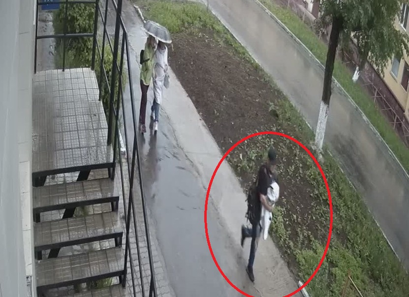 Момент кражи обезьяны из зоопарка в Чепецке попал на видео