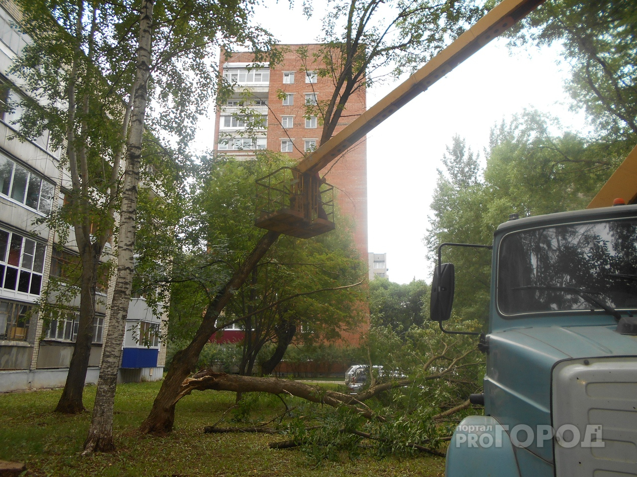 Очевидцы: «В Кирово-Чепецке во дворе упало огромное дерево»