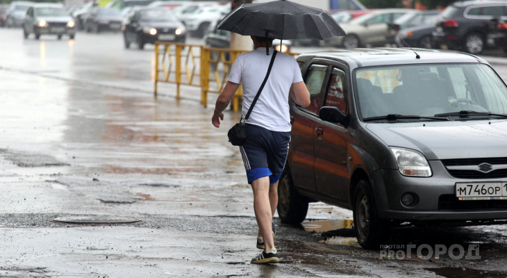 Солнце, дожди и грозы: погода на неделю с 19 по 25 августа в Кирово-Чепецке