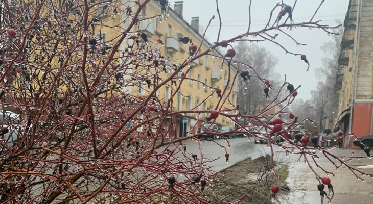 Ледяные дожди: прогноз погоды в Кирово-Чепецке с 11 по 17 ноября