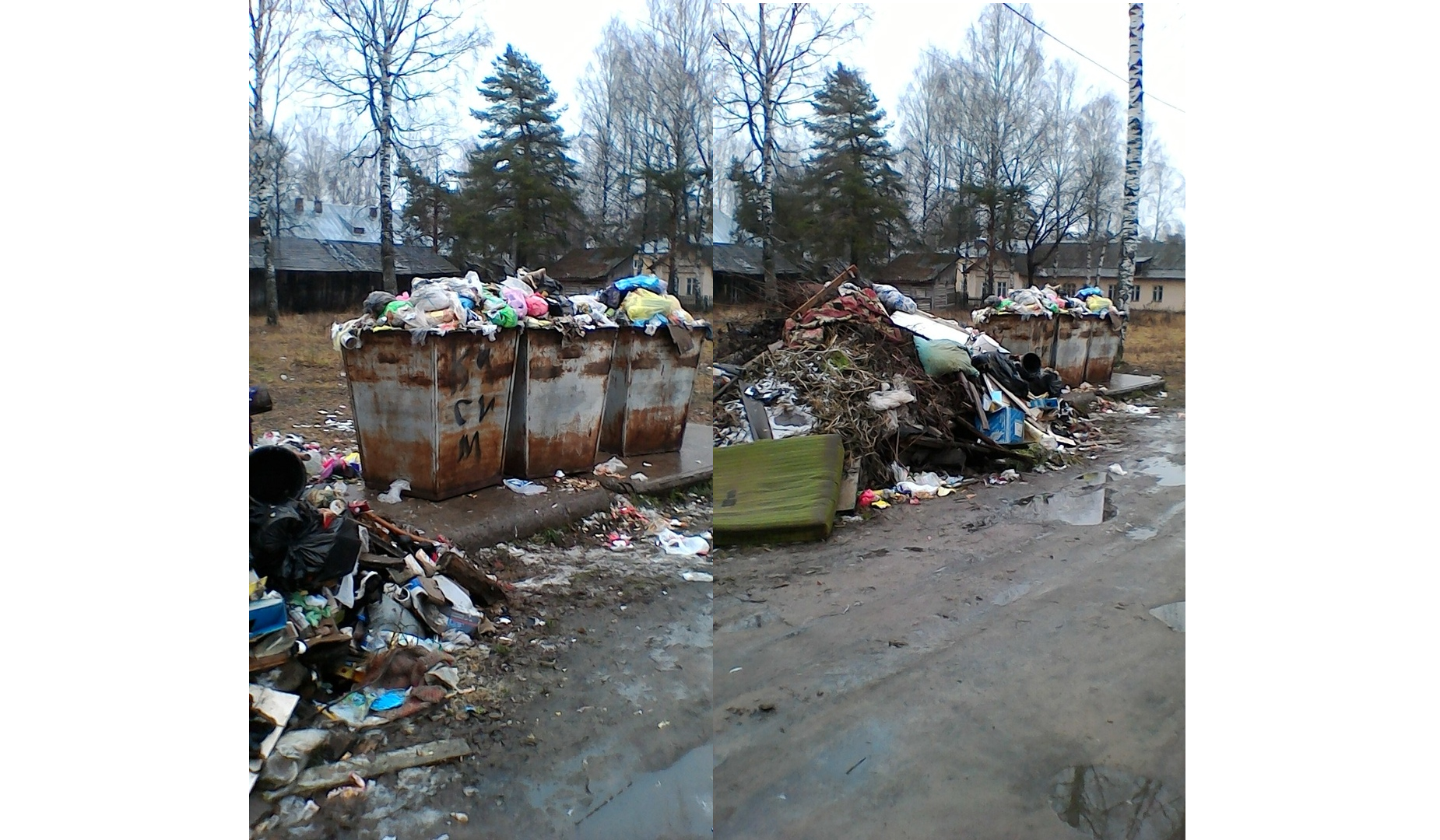 В Каринторфе третью неделю не вывозят мусор: регоператор прокомментировал ситуацию