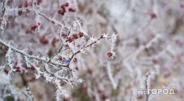 Снегопад и потепление: погода в Чепецке в первые дни декабря