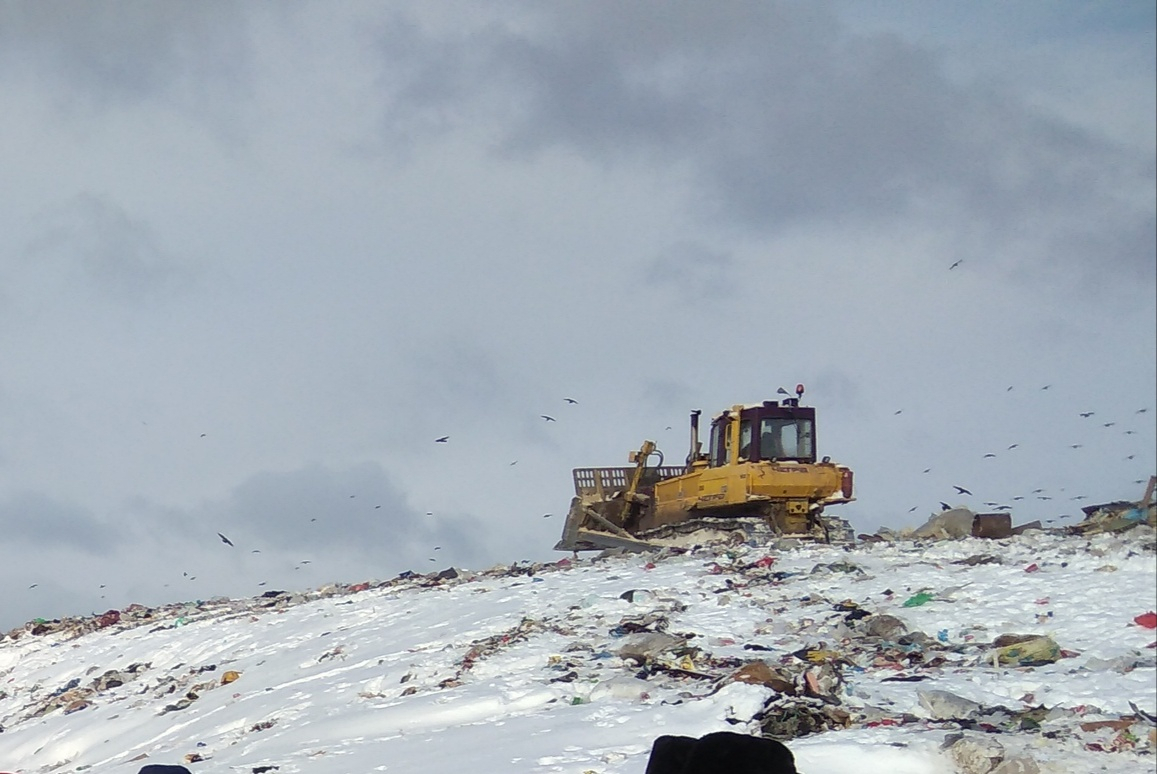 На полигоне «Лубягино» планируют построить мусоросортировочный завод