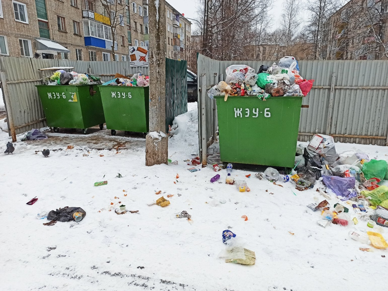 В Кирово-Чепецке из-за замены контейнеров перестали вывозить мусор