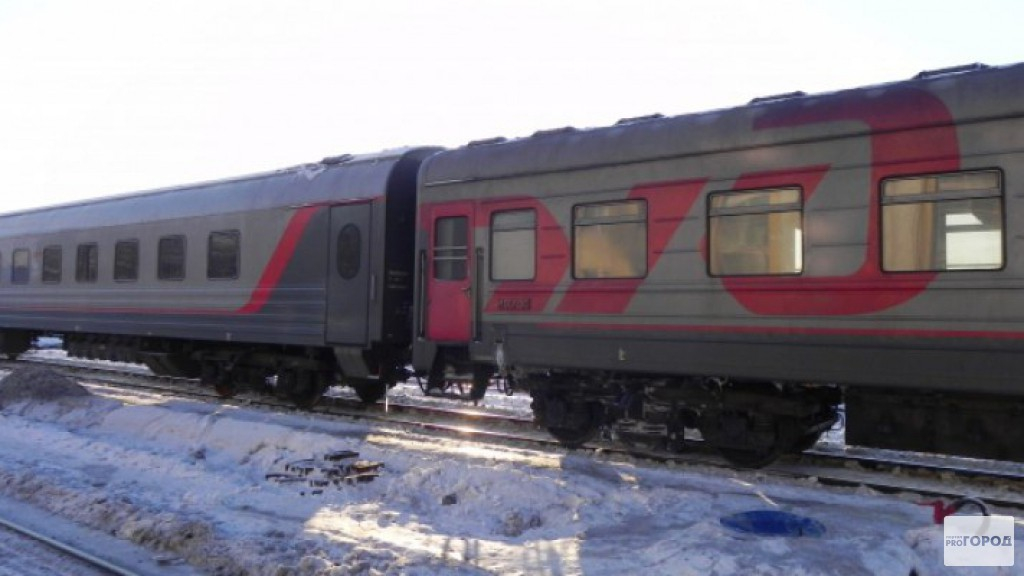 В Кирово-Чепецком районе поезд сбил 10 лошадей