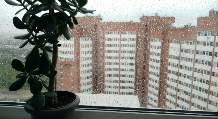 Обильные осадки и солнце: прогноз погоды на рабочую неделю в Кирово-Чепецке