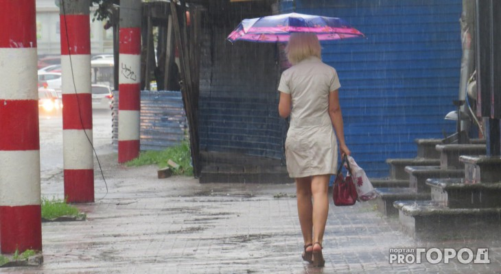 Первая неделя июня в Кирово-Чепецке начнется с дождя: прогноз погоды