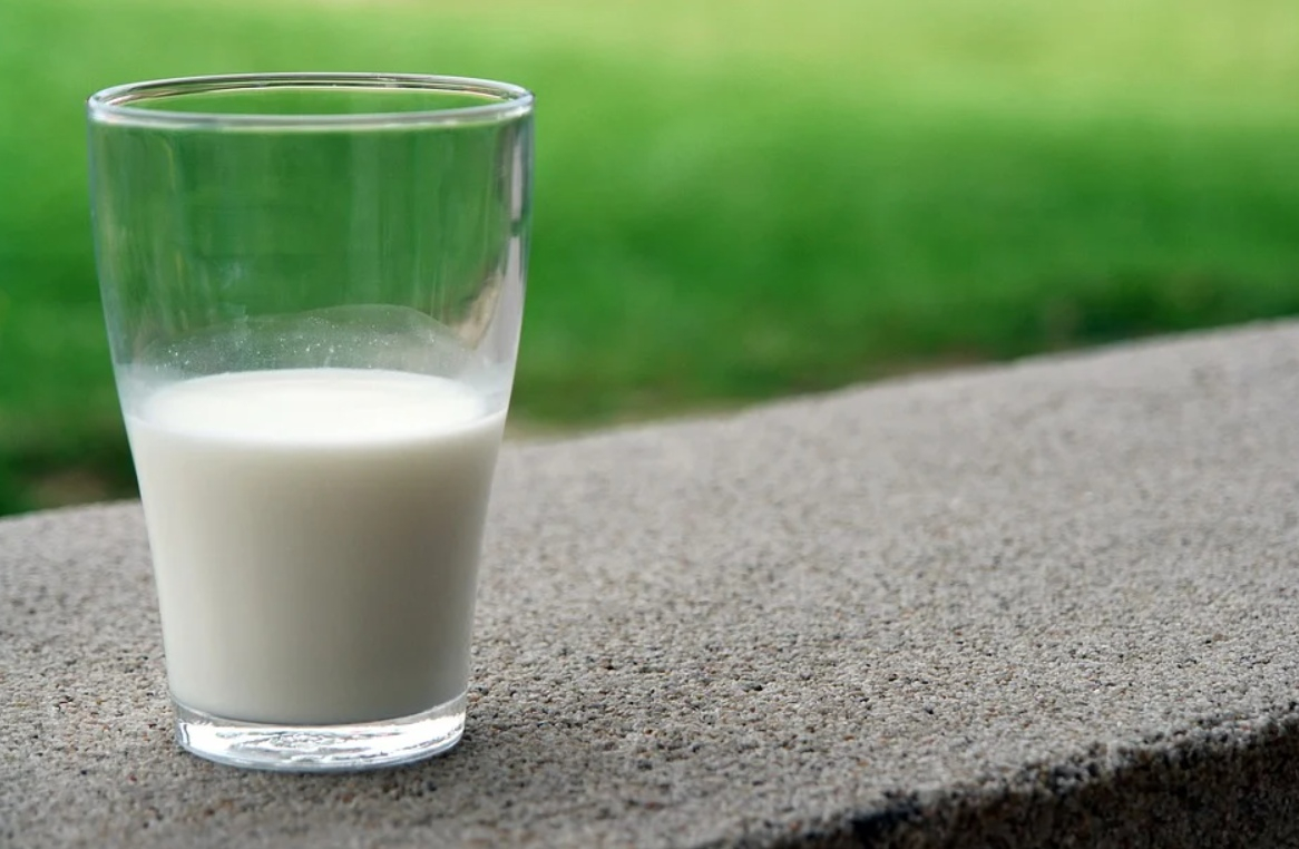 Из-за молока можно стать инвалидом: в Роскачестве назвали продукты с опасными бактериями