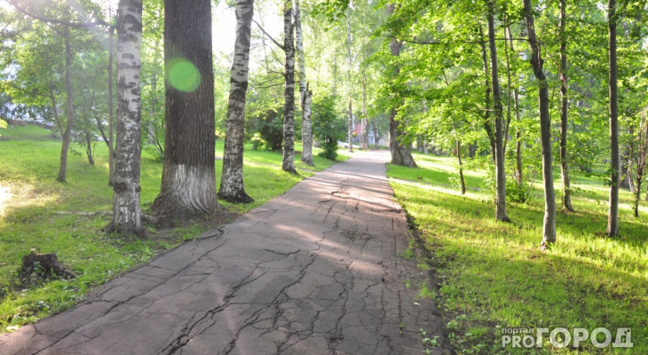В Кировской области ожидается похолодание до конца июня