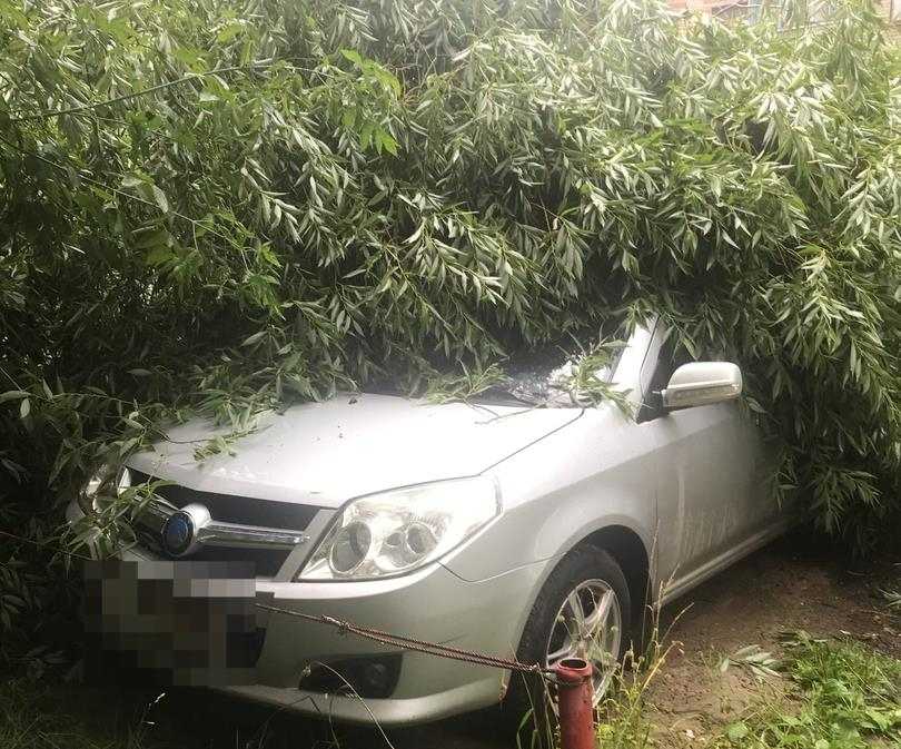 Утром в Кирово-Чепецке два дерева упали на машины