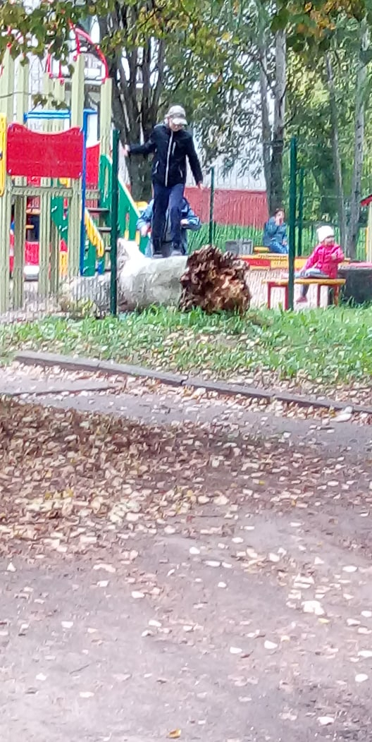 В Кирово-Чепецке на детскую площадку упало сухое дерево