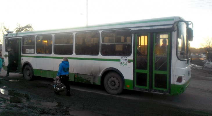 «Чтобы возить детей в школу, мне пришлось уволиться»: проблему с автобусами на Лубягино не решили после ремонта дороги