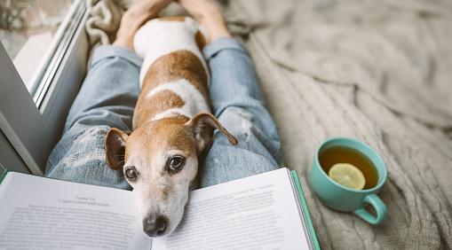 Рыбы будут источать уверенность, а Водолеи – проявлять себя: гороскоп на вторник