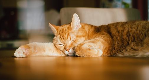 Овны потратят много денег, а Девы окажутся в центре внимания: гороскоп на выходные 