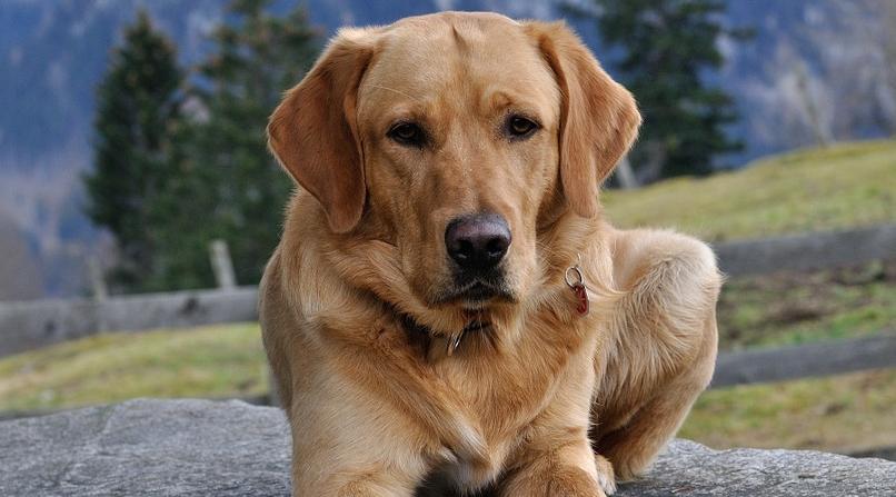 Скорпионы получат солидное вознаграждение, а Овны заново влюбятся: гороскоп на неделю